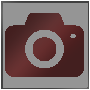20 Megapixel images